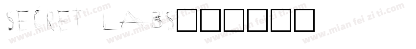 Secret Labs字体转换